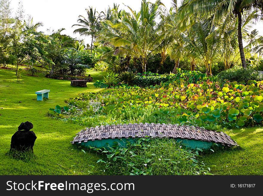 Small tropical garden with bridge. Small tropical garden with bridge