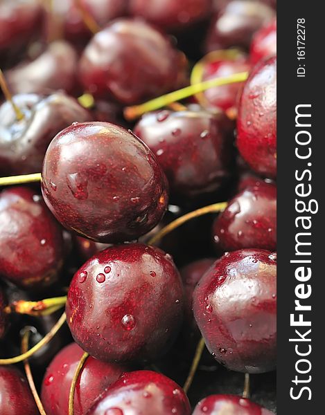 Freshly picked red cherries during harvest. Suitable for concepts such as food and beverage, healthy lifestyle, and diet and healthcare. Freshly picked red cherries during harvest. Suitable for concepts such as food and beverage, healthy lifestyle, and diet and healthcare.
