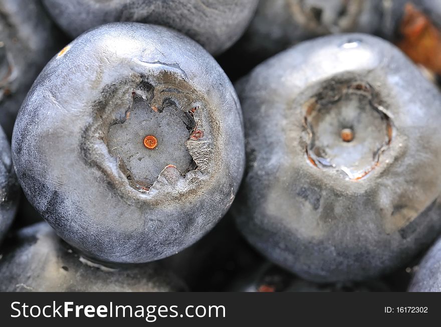 Macro shot of fresh blueberries. For healthy lifestyle, fruits, and healthcare concepts.