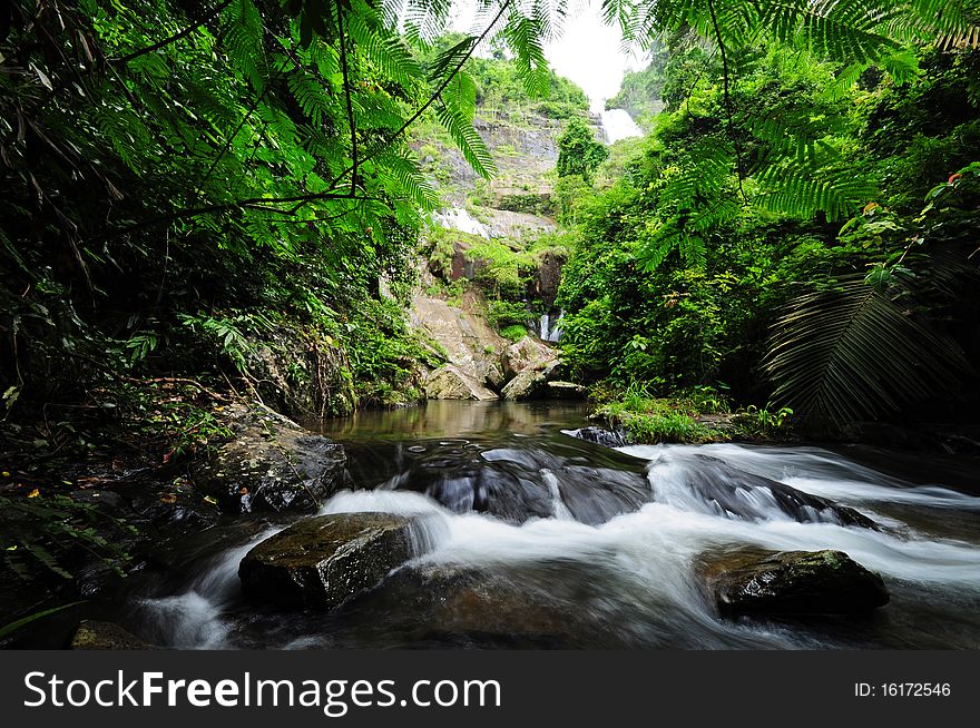 Waterfall in jungle with lush green trees around