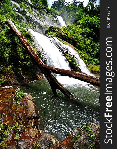 Waterfall in jungle with lush green trees around