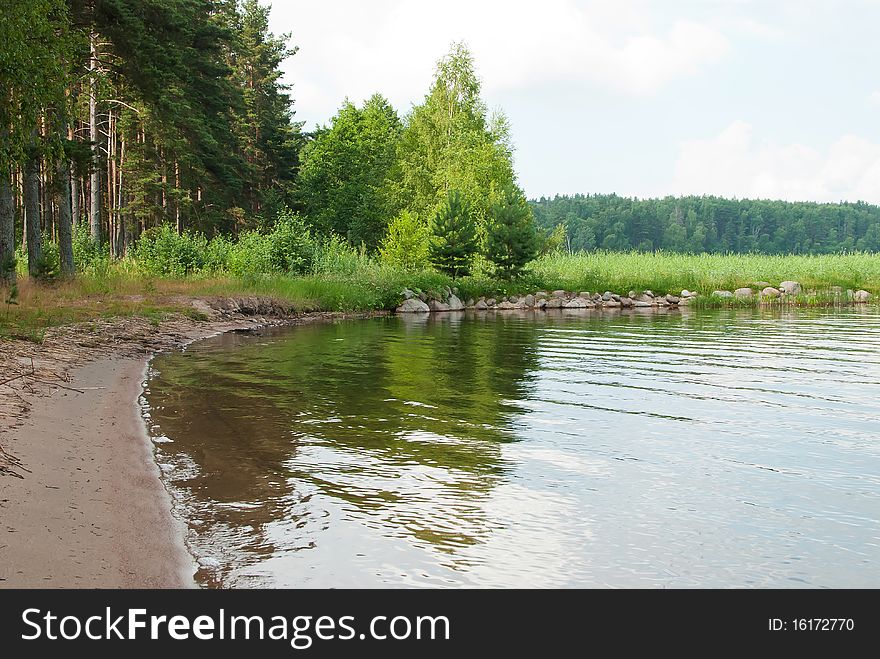 Bank of lake with green grass and fir trees