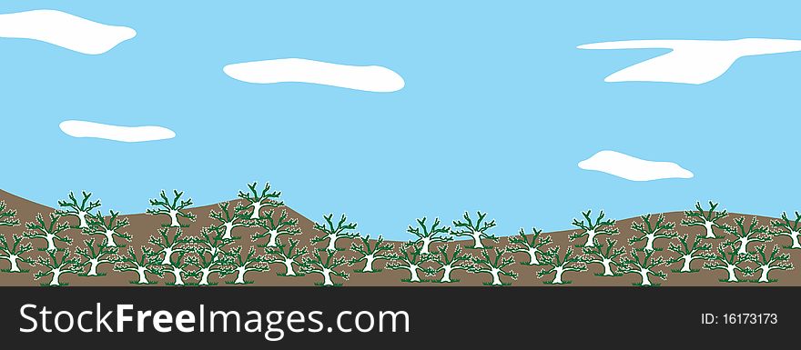 Landscape with youth trees in an orchard with blue spring sky and a few white clouds. Landscape with youth trees in an orchard with blue spring sky and a few white clouds.