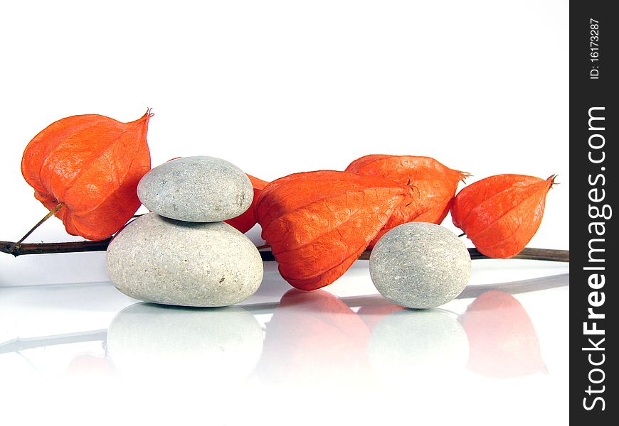 Branch of Physalis and gray Stones on white background. Branch of Physalis and gray Stones on white background