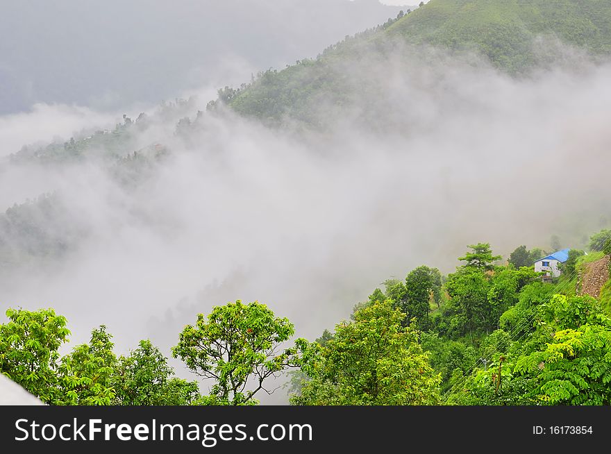 Fog and cloud valley of beautiful scenery
