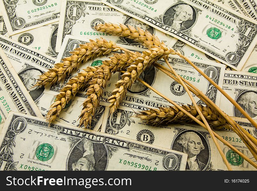 The ears of wheat lying on the American dollars. The ears of wheat lying on the American dollars