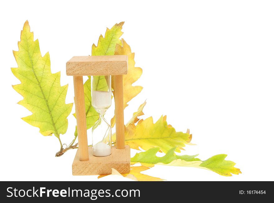 Egg timer and Autumn oak tree leaves isolated against white. Egg timer and Autumn oak tree leaves isolated against white