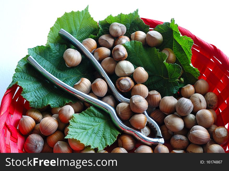 Close up of the hazelnut with pincers in basket. Close up of the hazelnut with pincers in basket