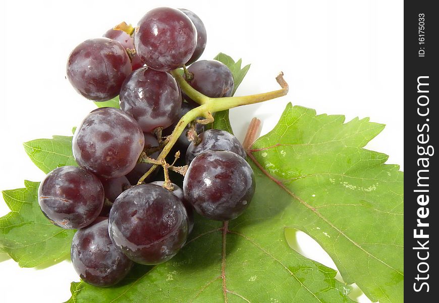 Bunch of grapes isolated on white background