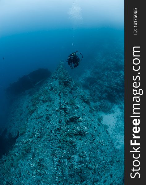 Female Scuba Diver Exploring Ship Wreck