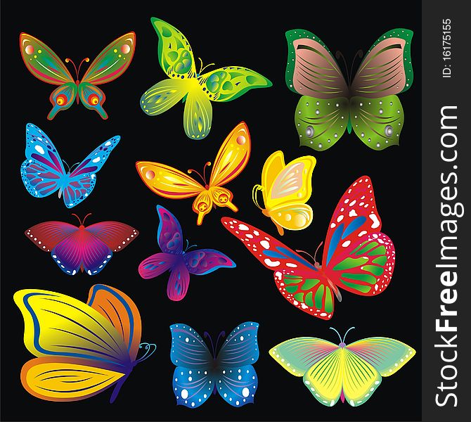 Vector set of color butterflies. Vector set of color butterflies