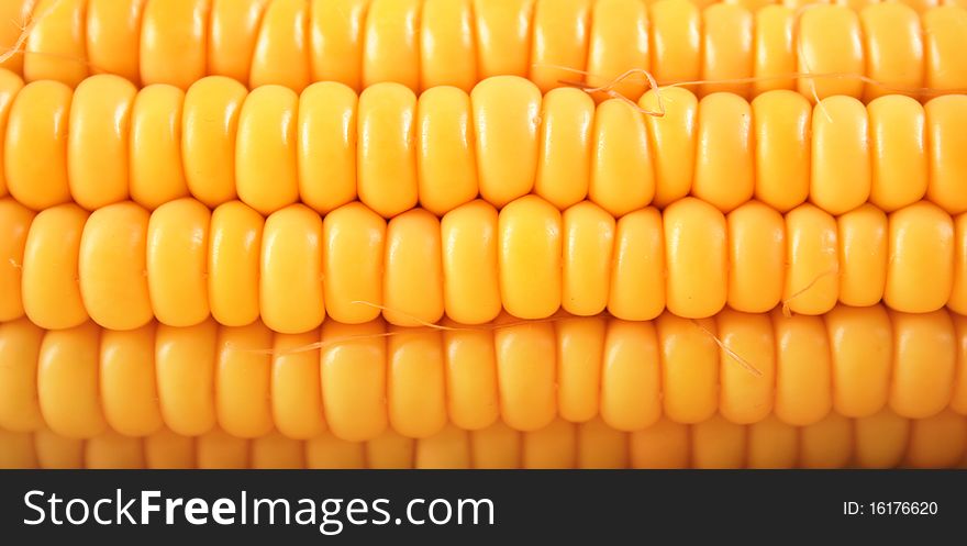 Close-up sweetcorn on yellow background