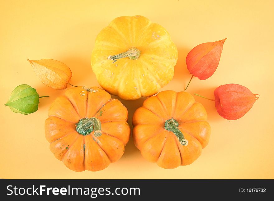 Orange pumpkins on yellow background. Orange pumpkins on yellow background