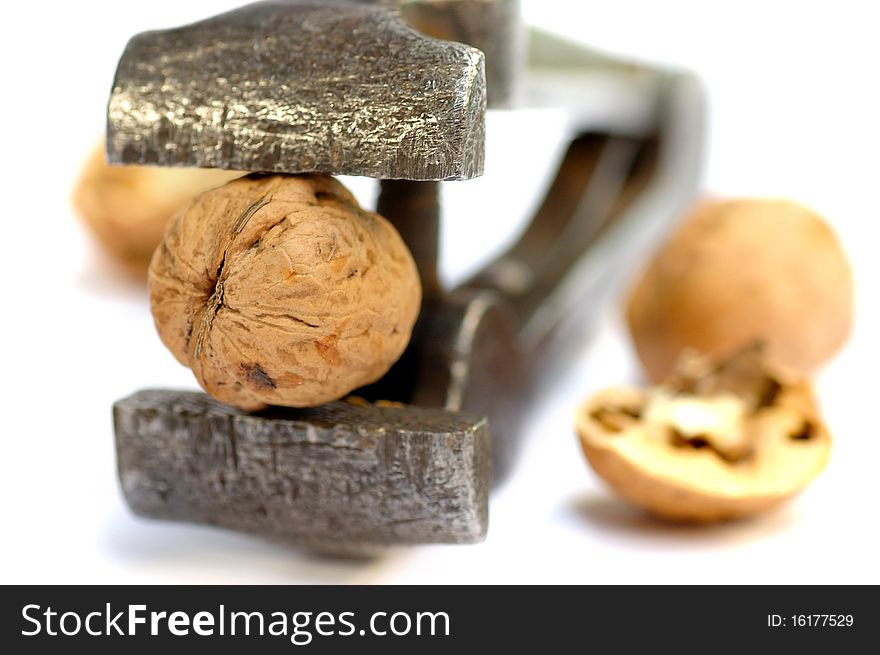 Vice with nuts close up on a white background