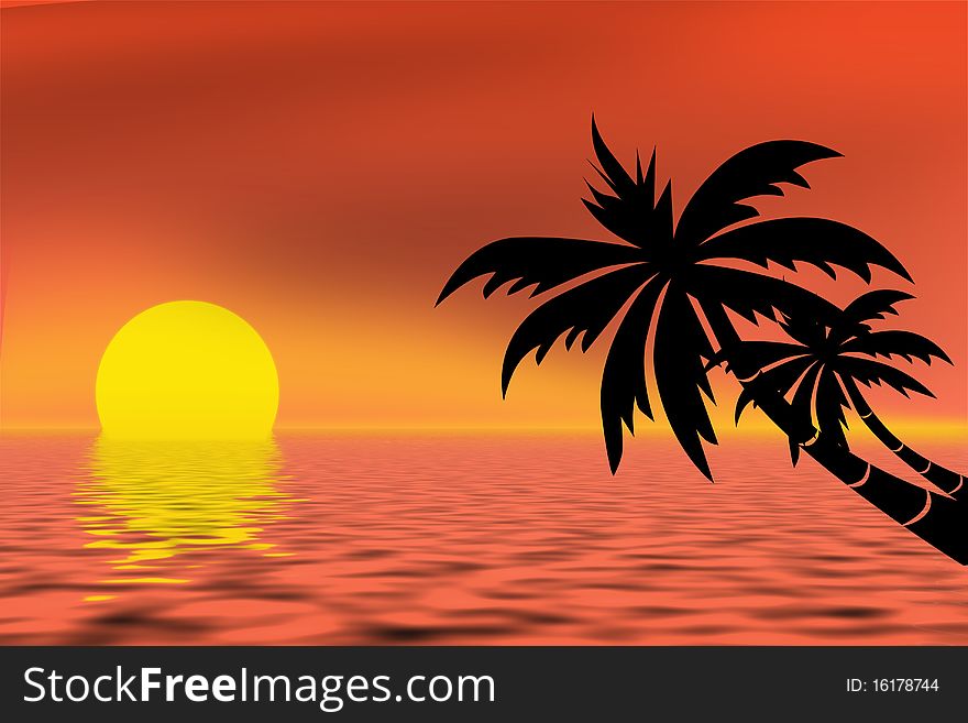 Palm tree and ocean at sunset. Palm tree and ocean at sunset