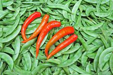 Green Bean And Chili Royalty Free Stock Photos Green Bean And Chili Royalty Free Stock Photos