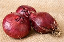 Red Onion Vegetable Royalty Free Stock Images Red Onion Vegetable Royalty Free Stock Images
