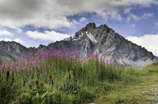 Vanoise National Park Royalty Free Stock Photos Vanoise National Park Royalty Free Stock Photos