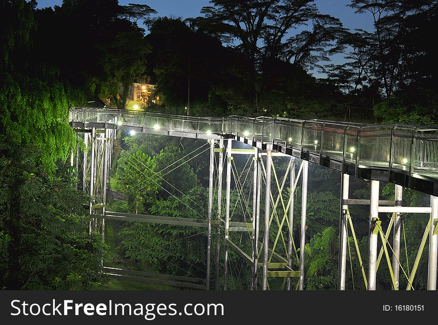 Elevated Lit Walkway With Trees By Night
