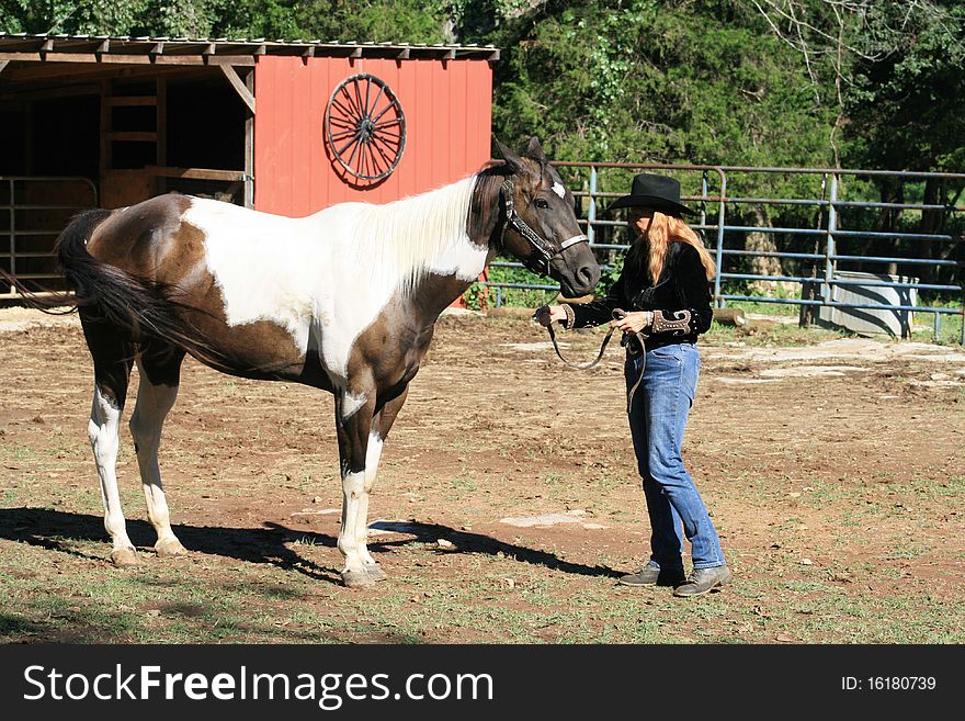 Woman With Horse In Field