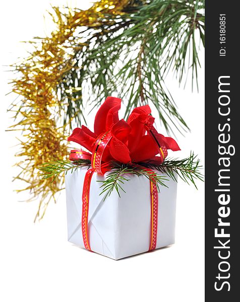 White box gift with red bow under christmas tree  on white background