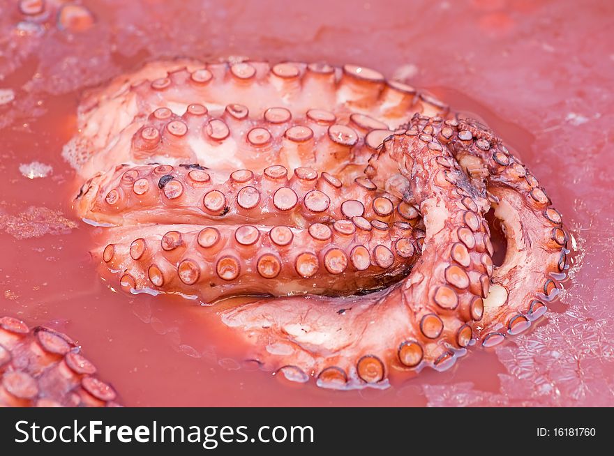Cooking Octopus