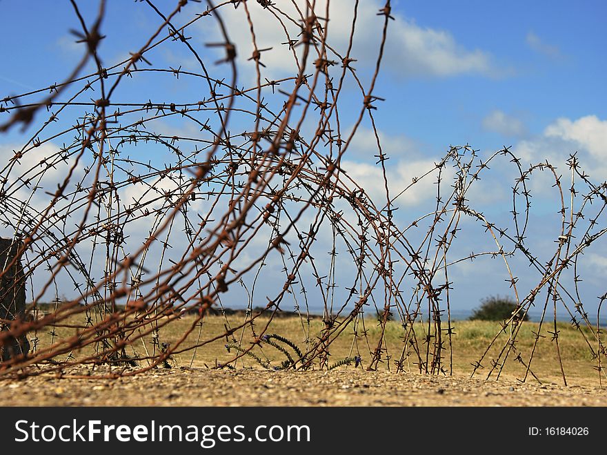 Old Barbed wire on the Point du Hoc