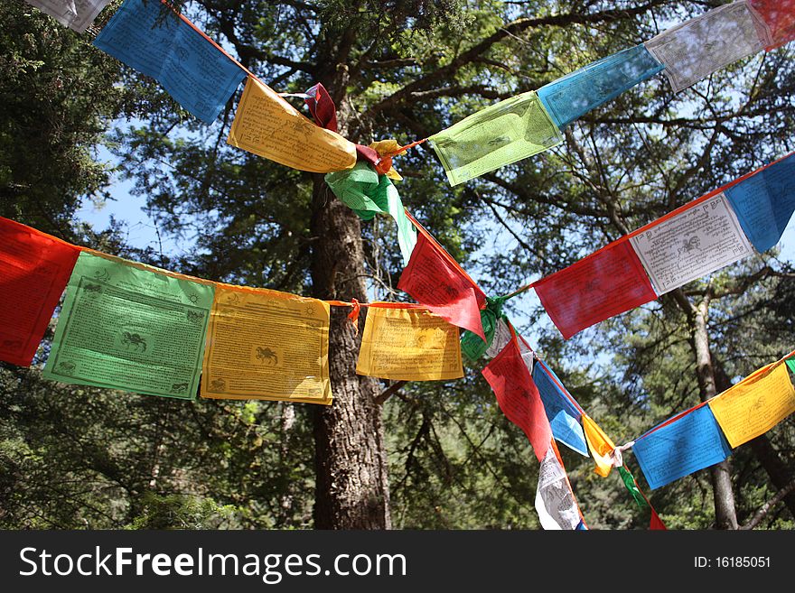 Three lines of colourful flags with sacred inscriptions and characters intersect, with tree foliage as a background. Three lines of colourful flags with sacred inscriptions and characters intersect, with tree foliage as a background.