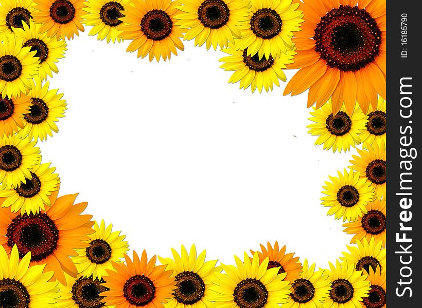 Sunflowers frame with place for you text