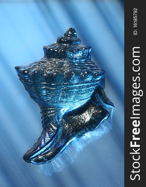 Cockleshell from a dark blue glass as an element decorative in a tile