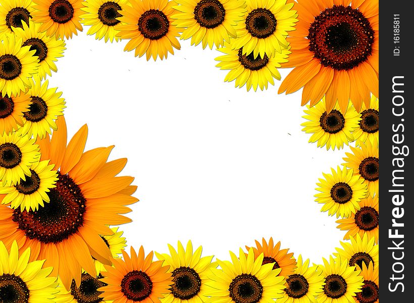 Frame for text with sunflowers. Frame for text with sunflowers