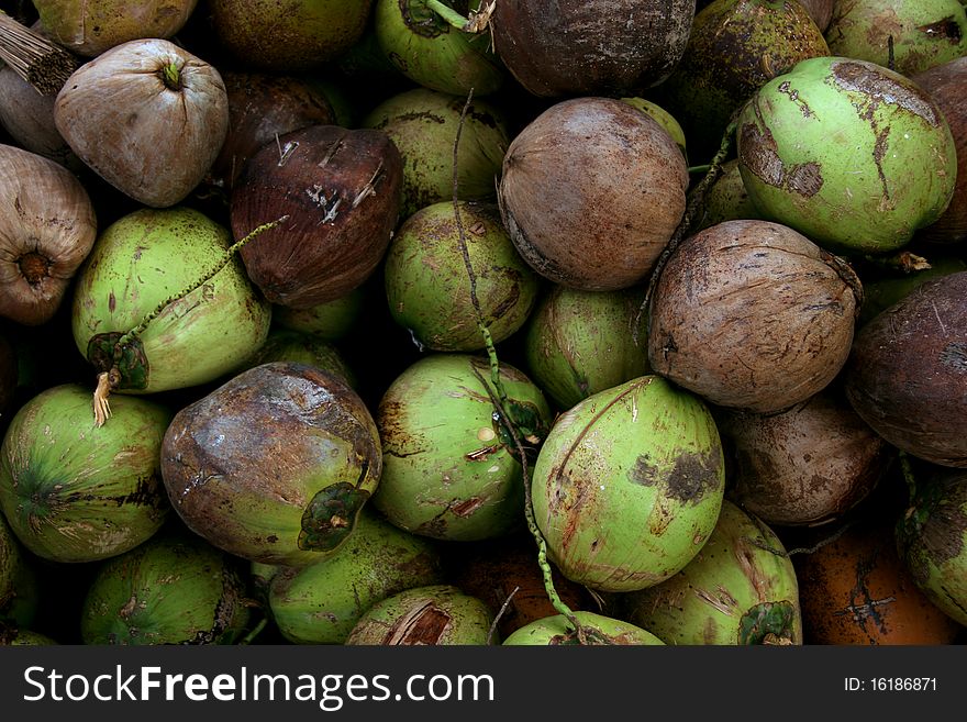 A pile of coconuts from a harvest. A pile of coconuts from a harvest