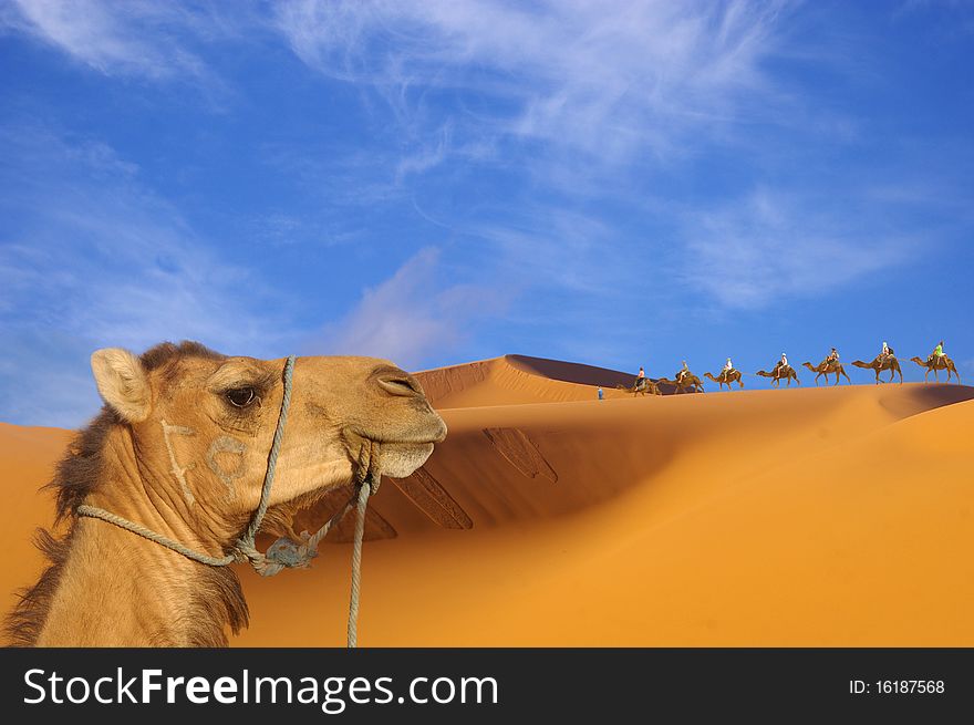 Sahara .Morocco.Trip to the dunes Erg chebi. Sahara .Morocco.Trip to the dunes Erg chebi