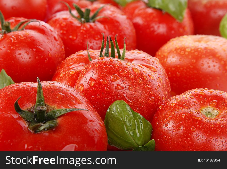 Very fresh tomatoes with basil