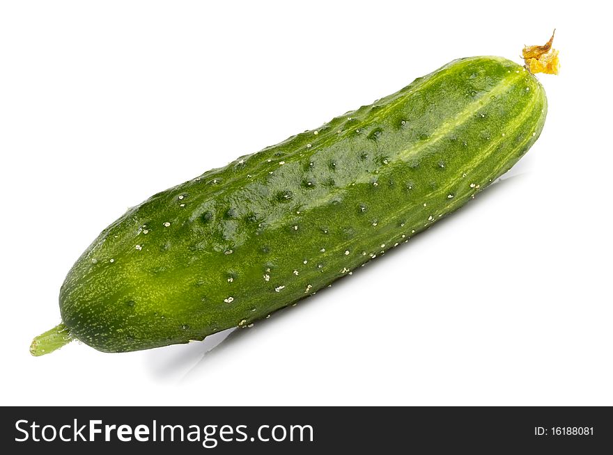 Green fresh cucumber macro shot isolated over white background. Green fresh cucumber macro shot isolated over white background