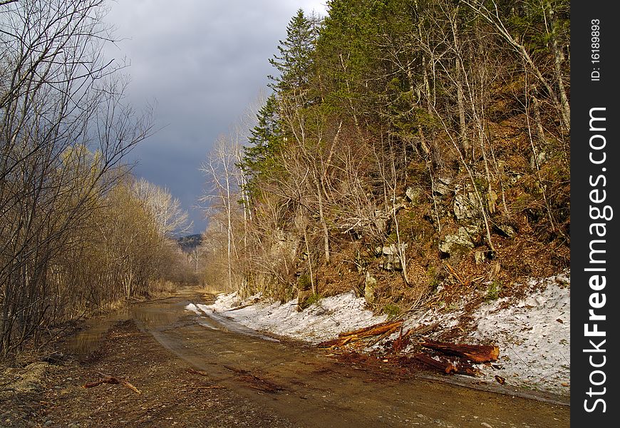 Spring landscape with last snow on wood road