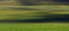 Pasture Stock Photos Pasture Stock Photos