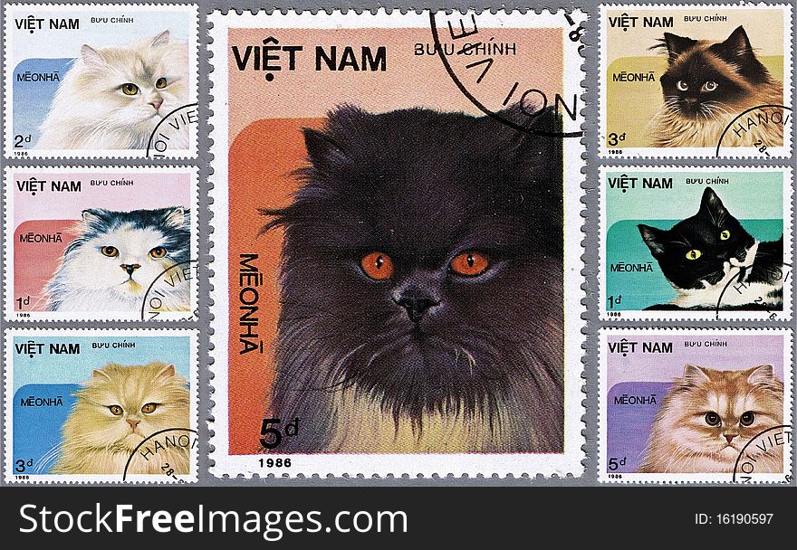 VIETNAM - CIRCA 1986: A stamp printed in Vietnam shows house cat, series, circa 1986. VIETNAM - CIRCA 1986: A stamp printed in Vietnam shows house cat, series, circa 1986