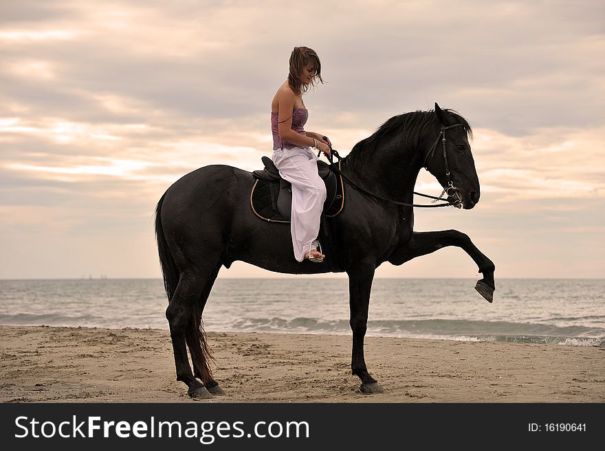 Girl And  Horse On The Beach