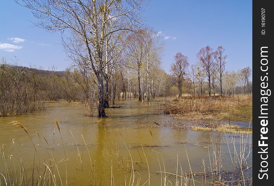 Spring landscape with naked wood and the spread river. Spring landscape with naked wood and the spread river
