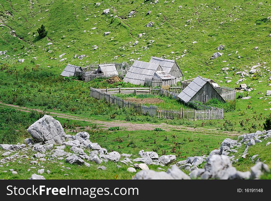 Pictured in high Montenegrian mountains. Pictured in high Montenegrian mountains