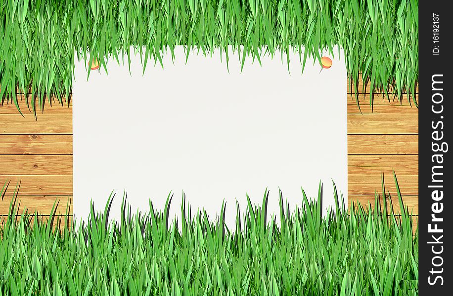 Over view of grass on white background