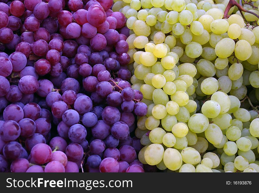 Close-up of black and white grape . Close-up of black and white grape .