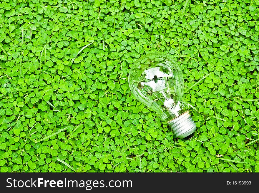 Green bulb