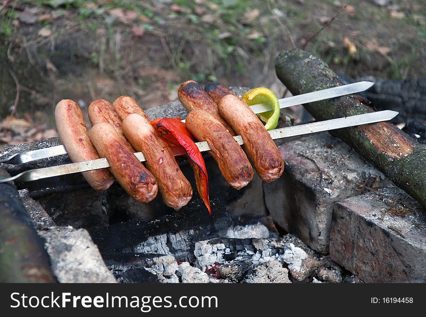 Tasty skewer threaded sausages paprica and  bonfire site closeup. Tasty skewer threaded sausages paprica and  bonfire site closeup