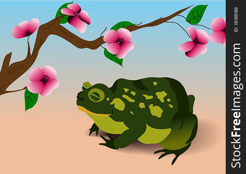 Green toad sits under the sakura branch. Green toad sits under the sakura branch