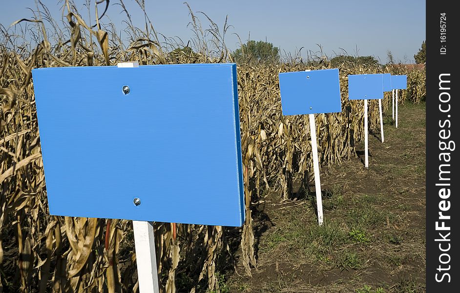 Empty billboards on a cornfield. Empty billboards on a cornfield.
