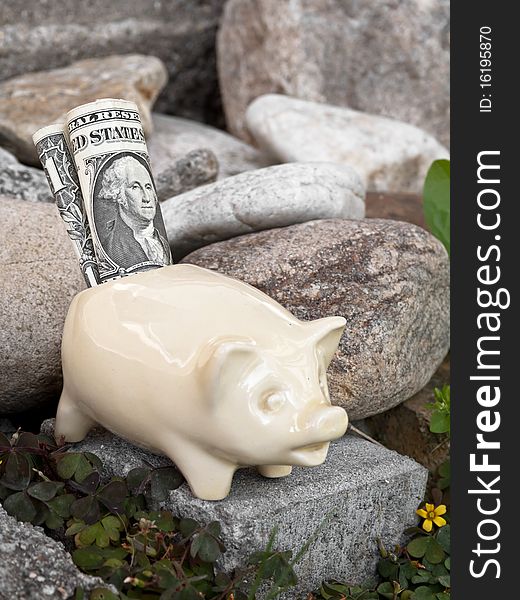 Old porcelain saving pig with dollar banknotes. Old porcelain saving pig with dollar banknotes.