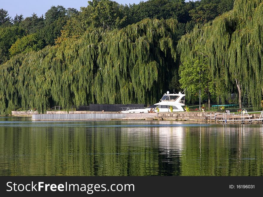 Beautiful Yacht with Willow Trees along Shoreline in morning sun