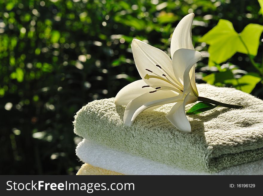 Backloghting with sun white lily on stack of towels against green summer background. Backloghting with sun white lily on stack of towels against green summer background